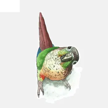 RuleMyLife 8*15.9CM Прекрасен карикатура папагали декор кола стикер PVC персонализирани цветни 11A0150